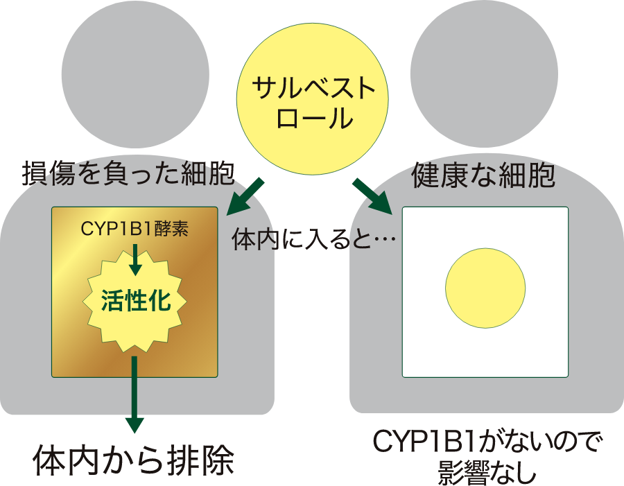 サルベストロールの働き